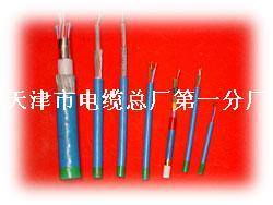 天津市电缆总厂第一分厂产品详解 阻燃电缆与特种电缆全面展示